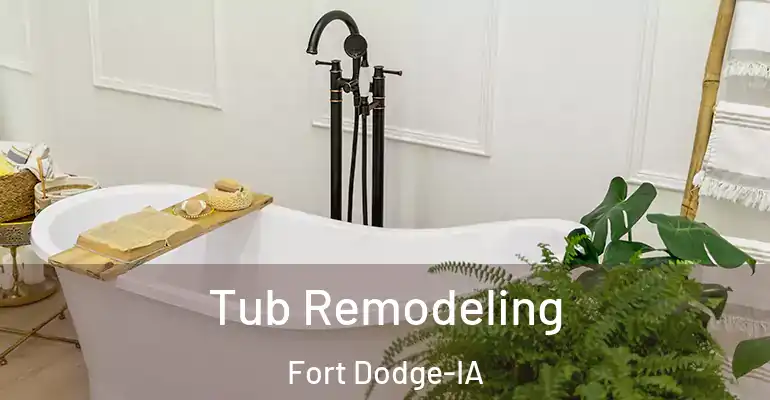 inner Bathroom imggen Tub Remodeling Fort Dodge-IA