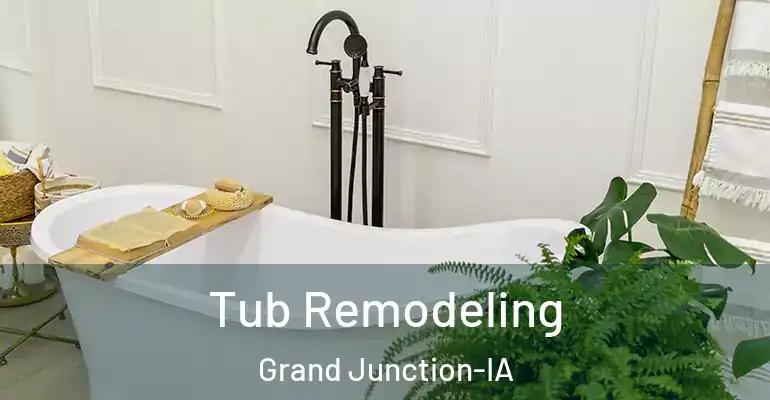 inner Bathroom imggen Tub Remodeling Grand Junction-IA