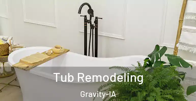 inner Bathroom imggen Tub Remodeling Gravity-IA