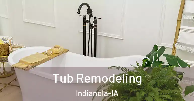inner Bathroom imggen Tub Remodeling Indianola-IA