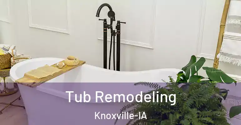 inner Bathroom imggen Tub Remodeling Knoxville-IA