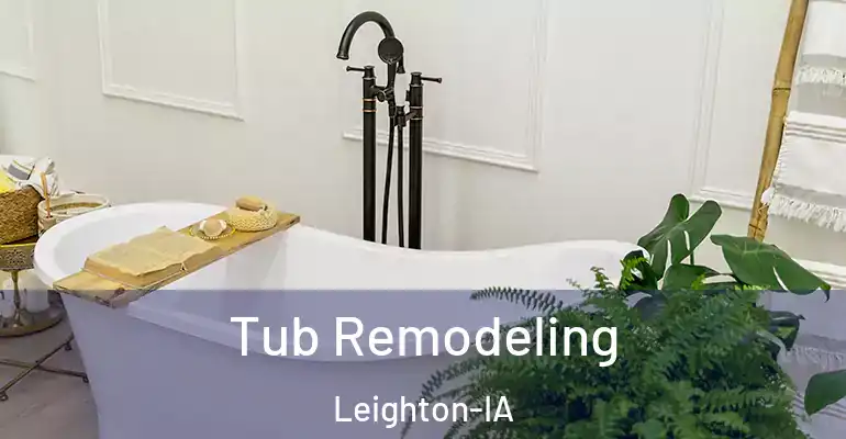 inner Bathroom imggen Tub Remodeling Leighton-IA