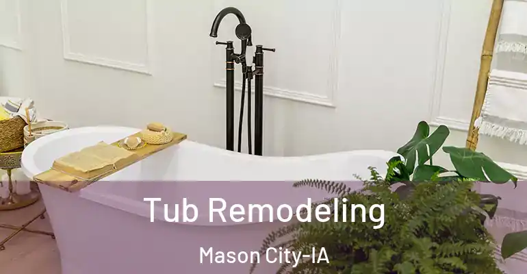 inner Bathroom imggen Tub Remodeling Mason City-IA