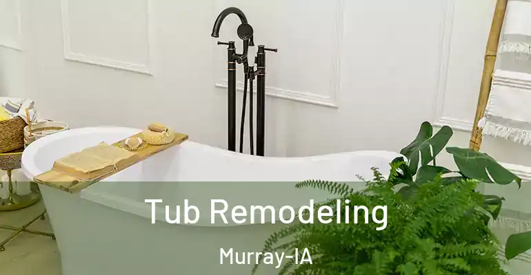 inner Bathroom imggen Tub Remodeling Murray-IA