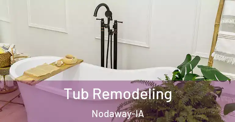 inner Bathroom imggen Tub Remodeling Nodaway-IA