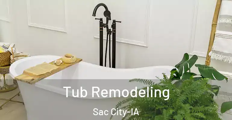 inner Bathroom imggen Tub Remodeling Sac City-IA