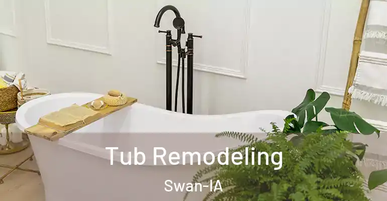inner Bathroom imggen Tub Remodeling Swan-IA
