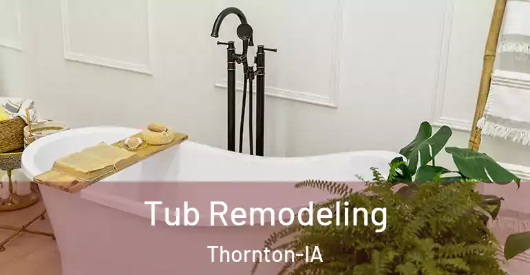 inner Bathroom imggen Tub Remodeling Thornton-IA