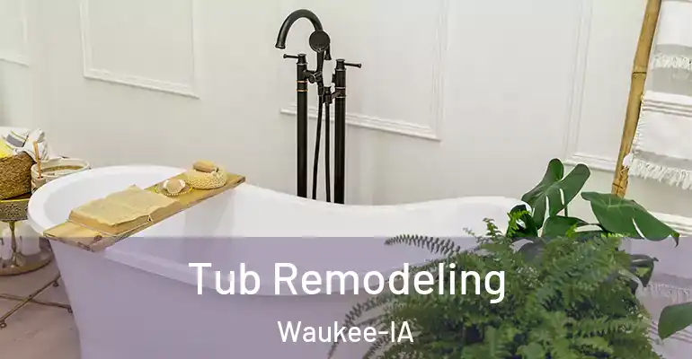 inner Bathroom imggen Tub Remodeling Waukee-IA