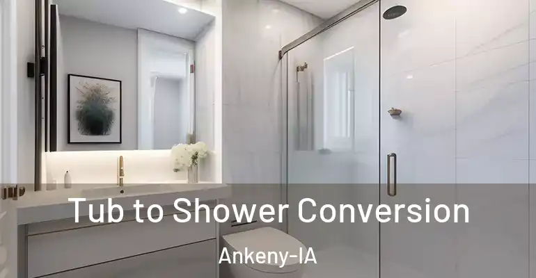 inner Bathroom imggen Tub to Shower Conversion Ankeny-IA
