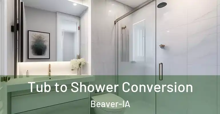 inner Bathroom imggen Tub to Shower Conversion Beaver-IA