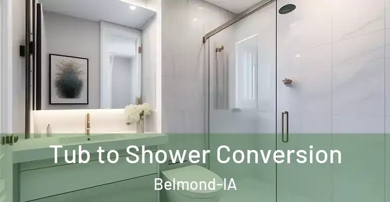 inner Bathroom imggen Tub to Shower Conversion Belmond-IA