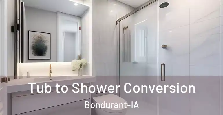 inner Bathroom imggen Tub to Shower Conversion Bondurant-IA