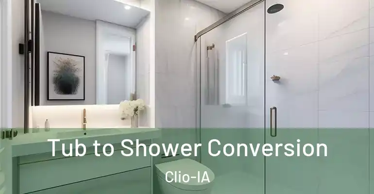inner Bathroom imggen Tub to Shower Conversion Clio-IA