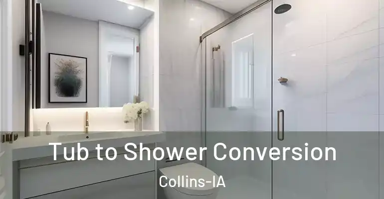 inner Bathroom imggen Tub to Shower Conversion Collins-IA