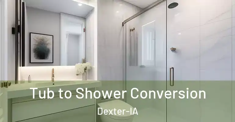 inner Bathroom imggen Tub to Shower Conversion Dexter-IA