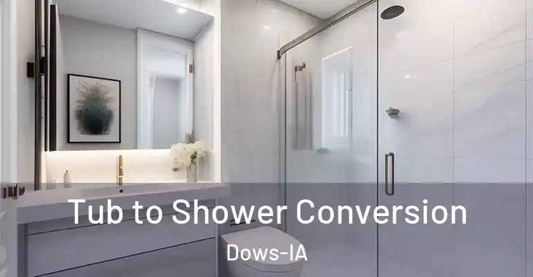inner Bathroom imggen Tub to Shower Conversion Dows-IA