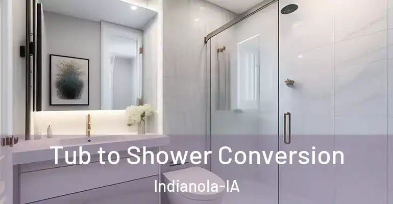 inner Bathroom imggen Tub to Shower Conversion Indianola-IA