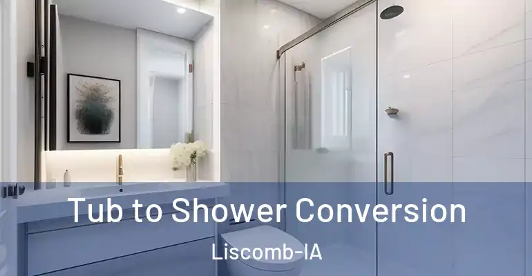 inner Bathroom imggen Tub to Shower Conversion Liscomb-IA