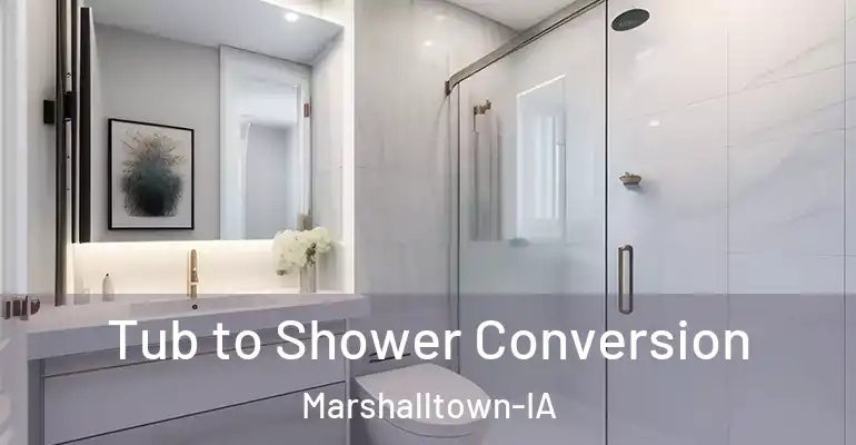 inner Bathroom imggen Tub to Shower Conversion Marshalltown-IA