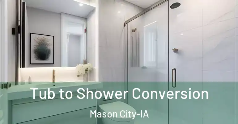 inner Bathroom imggen Tub to Shower Conversion Mason City-IA