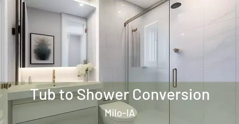 inner Bathroom imggen Tub to Shower Conversion Milo-IA
