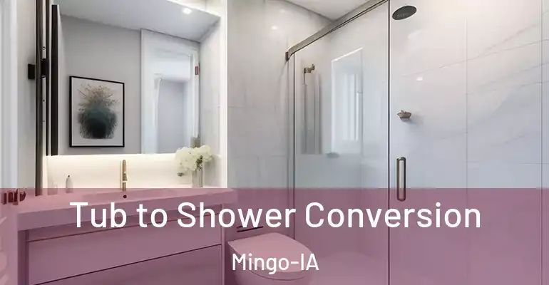 inner Bathroom imggen Tub to Shower Conversion Mingo-IA