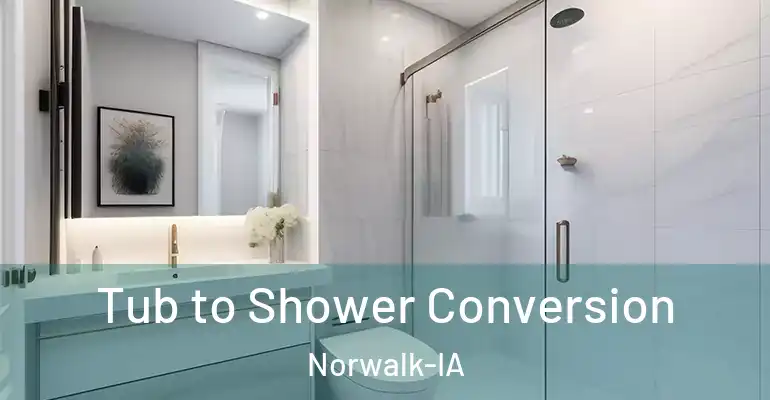 inner Bathroom imggen Tub to Shower Conversion Norwalk-IA