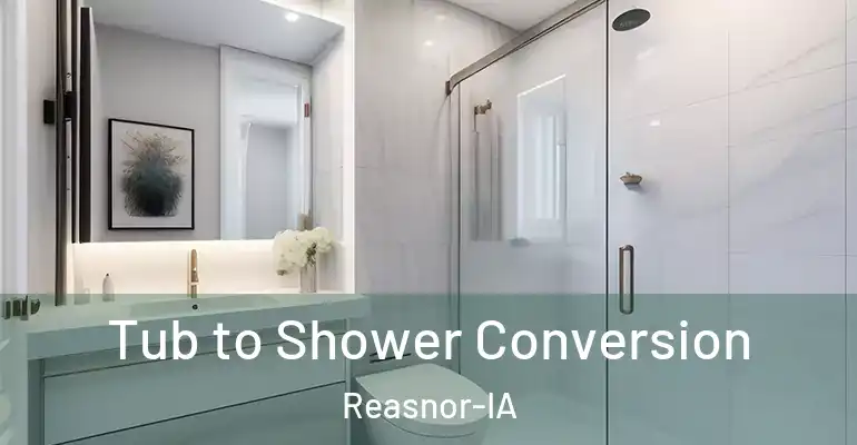 inner Bathroom imggen Tub to Shower Conversion Reasnor-IA