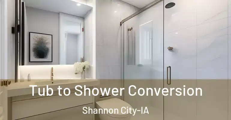 inner Bathroom imggen Tub to Shower Conversion Shannon City-IA
