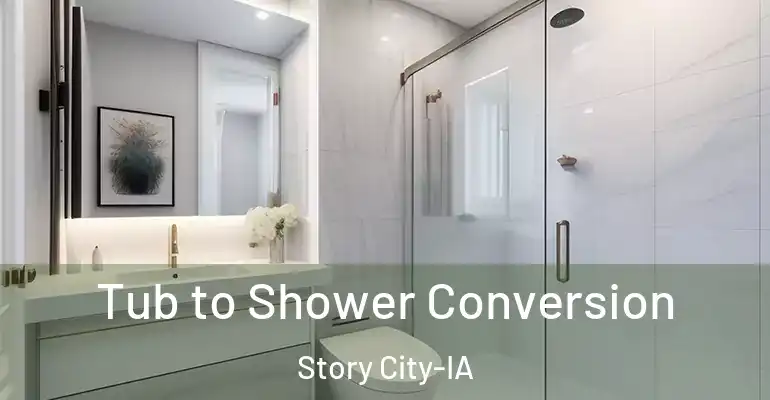 inner Bathroom imggen Tub to Shower Conversion Story City-IA