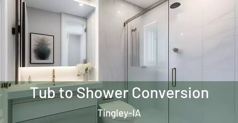 inner Bathroom imggen Tub to Shower Conversion Tingley-IA