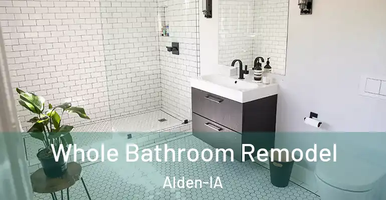 inner Bathroom imggen Whole Bathroom Remodel Alden-IA