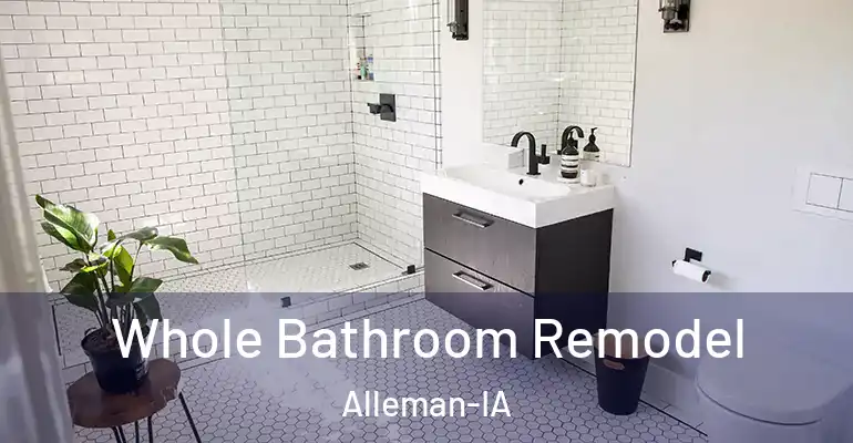 inner Bathroom imggen Whole Bathroom Remodel Alleman-IA