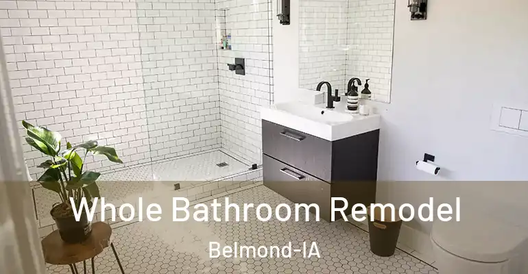 inner Bathroom imggen Whole Bathroom Remodel Belmond-IA