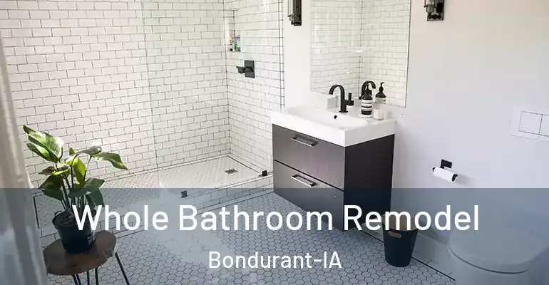 inner Bathroom imggen Whole Bathroom Remodel Bondurant-IA
