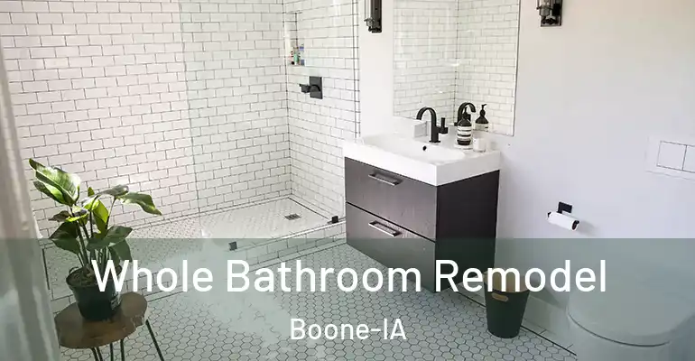 inner Bathroom imggen Whole Bathroom Remodel Boone-IA