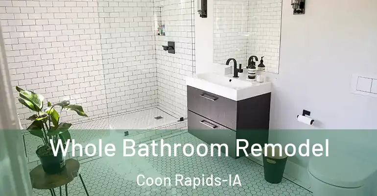 inner Bathroom imggen Whole Bathroom Remodel Coon Rapids-IA