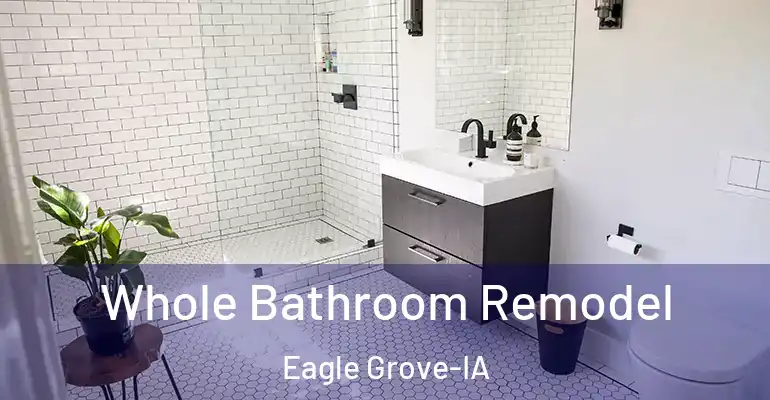inner Bathroom imggen Whole Bathroom Remodel Eagle Grove-IA