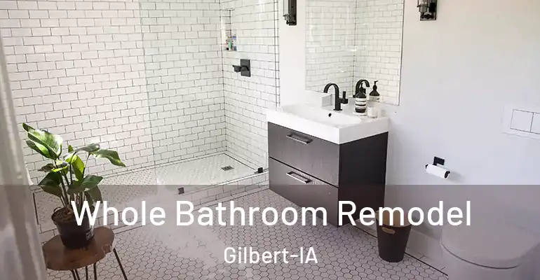 inner Bathroom imggen Whole Bathroom Remodel Gilbert-IA