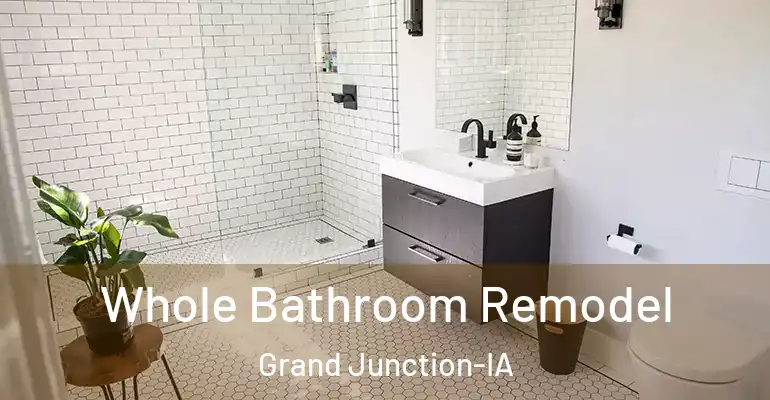 inner Bathroom imggen Whole Bathroom Remodel Grand Junction-IA