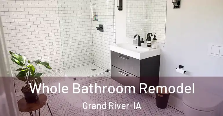 inner Bathroom imggen Whole Bathroom Remodel Grand River-IA