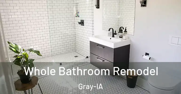 inner Bathroom imggen Whole Bathroom Remodel Gray-IA