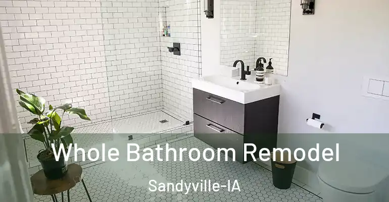 inner Bathroom imggen Whole Bathroom Remodel Sandyville-IA