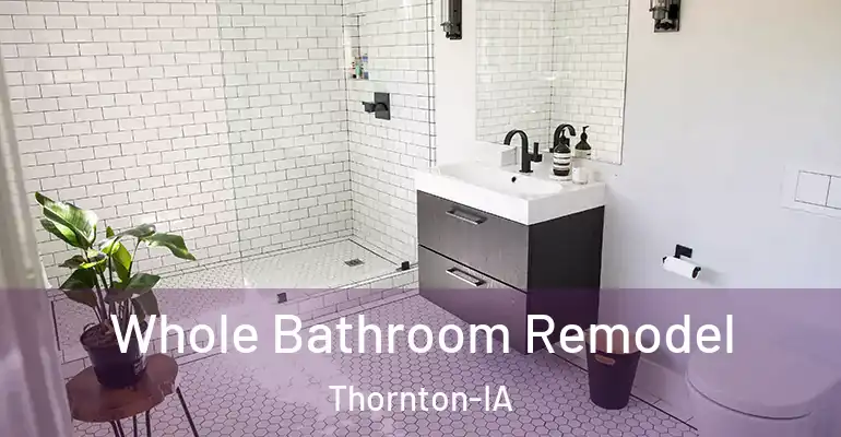 inner Bathroom imggen Whole Bathroom Remodel Thornton-IA