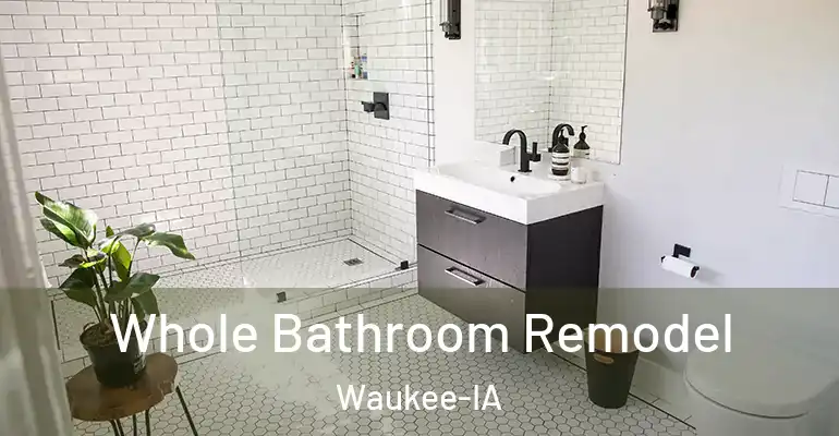 inner Bathroom imggen Whole Bathroom Remodel Waukee-IA